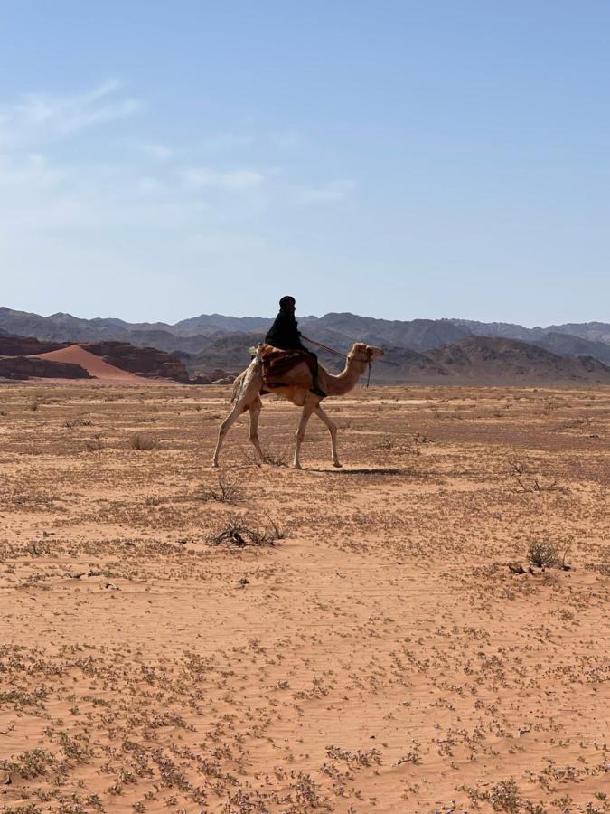Wadi Rum Desert Camp Exteriör bild