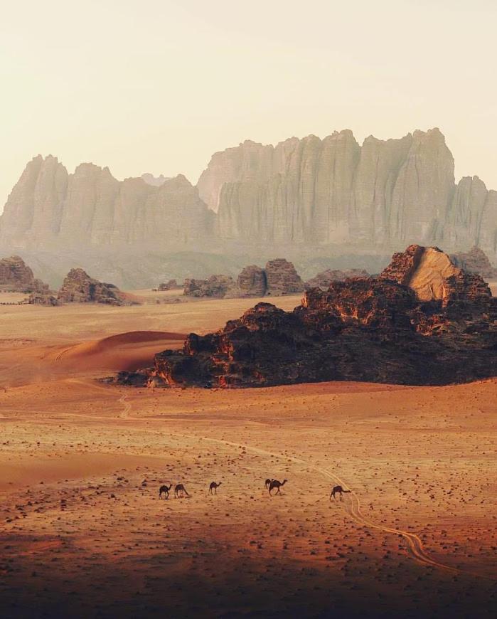 Wadi Rum Desert Camp Exteriör bild